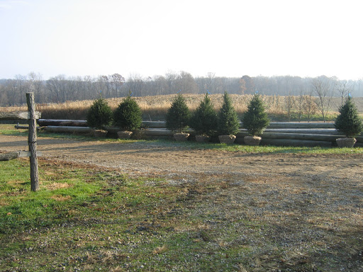 Insurance Agency «MVP Agency», reviews and photos