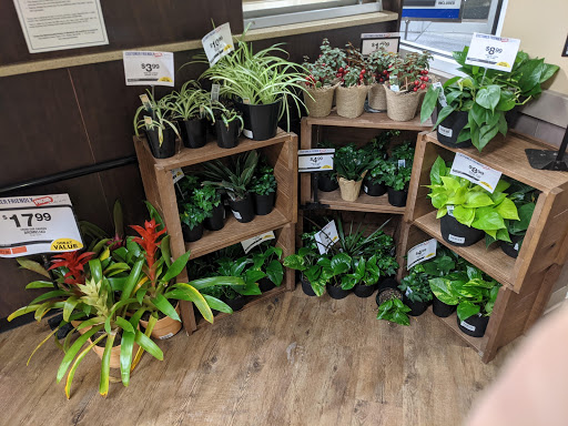 Supermarket «Big Y», reviews and photos, 1 E Silver St, Westfield, MA 01085, USA