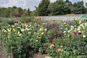 Bedfords Park Walled Garden image