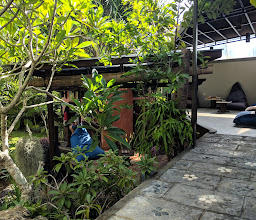 Home-Bience Hostel photo