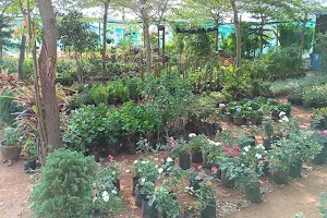 Udaya nursery/garden image