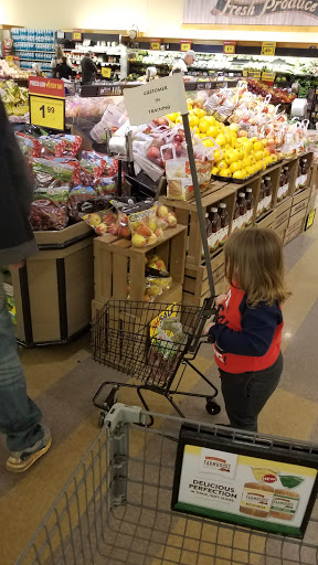 Grocery Store «Food Lion», reviews and photos, 944 Hillsboro Blvd, Manchester, TN 37355, USA