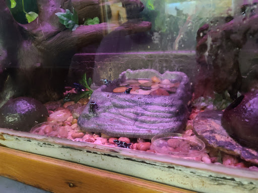 Zoo «Trevor Zoo at Millbrook School», reviews and photos, 282 Millbrook School Rd, Millbrook, NY 12545, USA