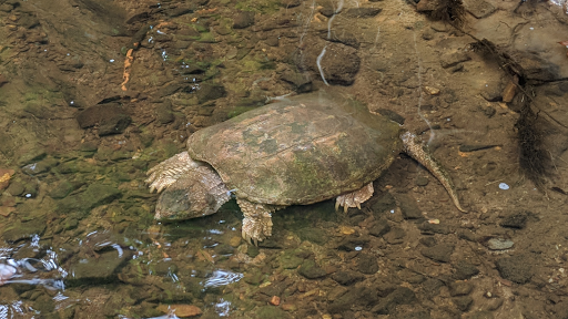 Park «Little Nancy Creek Park», reviews and photos, 4012 Peachtree Dunwoody Rd, Atlanta, GA 30342, USA