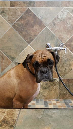 Pet Store «Pet Valu», reviews and photos, 2360 Lakewood Rd, Toms River, NJ 08755, USA