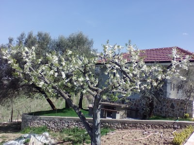 Photos of Teqeja e Sari Salltikut