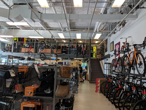 Bicycle Store «The Bicycle Planet», reviews and photos, 340 Robbins Ln, Syosset, NY 11791, USA