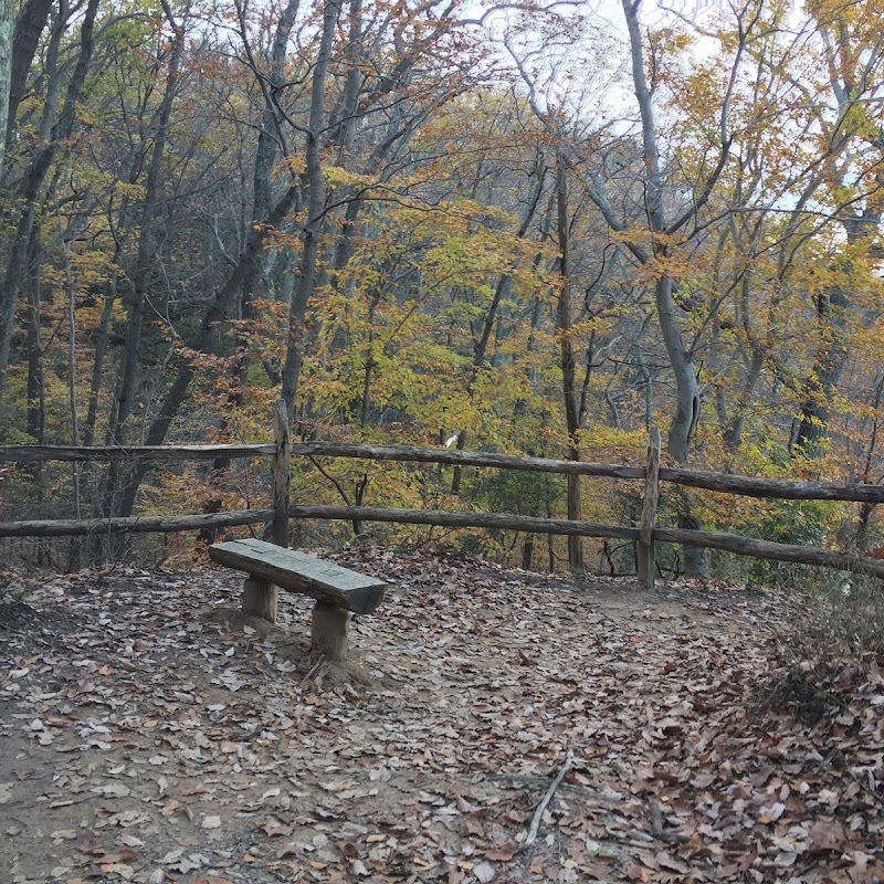 Wood*s trail