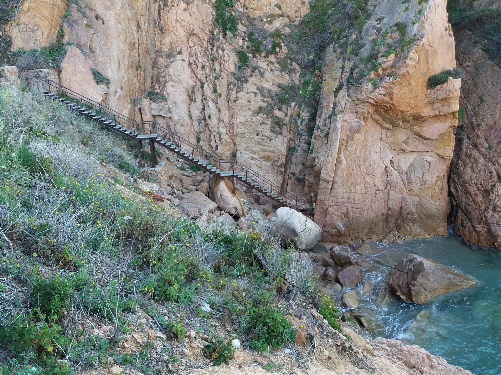 Photo de Cala Jonca avec micro baie