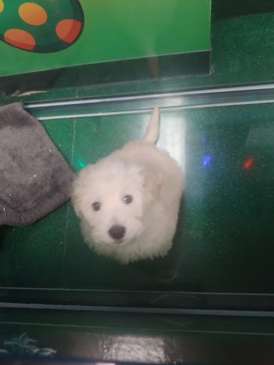 Perfect Pup Inc, 2400 E Main St, St Charles, IL 60174, USA, 