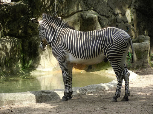 Park «Lincoln Park», reviews and photos, 2045 N Lincoln Park W, Chicago, IL 60614, USA