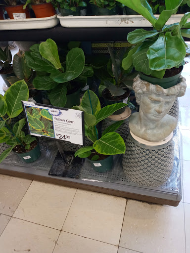 Garden Center «English Gardens», reviews and photos, 44850 Garfield Rd, Charter Twp of Clinton, MI 48038, USA