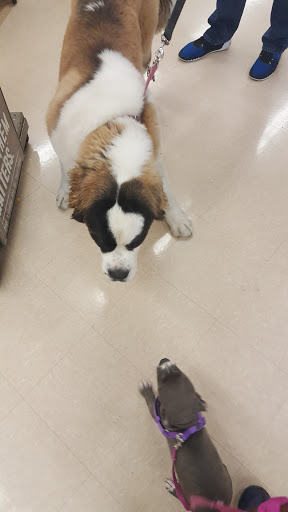 Pet Supply Store «Petco Animal Supplies», reviews and photos, 160 S Mannheim Rd #100, Hillside, IL 60162, USA