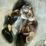 Photo n°3 de l'avis de francesco.a fait le 14/08/2020 à 21:47 sur le  Al 58 à Santa Marinella