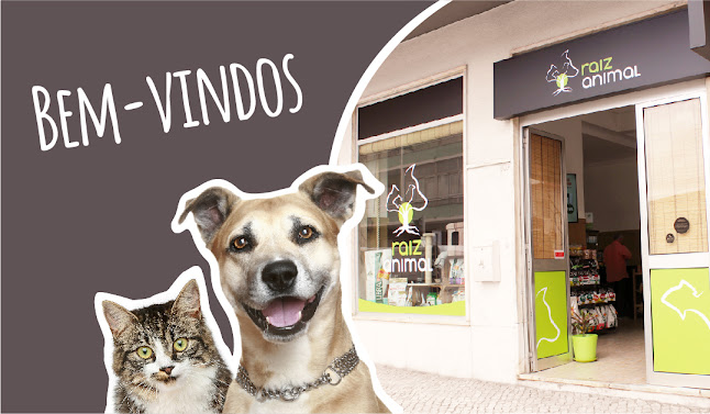 Avaliações doRaiz Animal - Loja de Animais e Plantas | Queluz-Sintra em Sintra - Veterinário