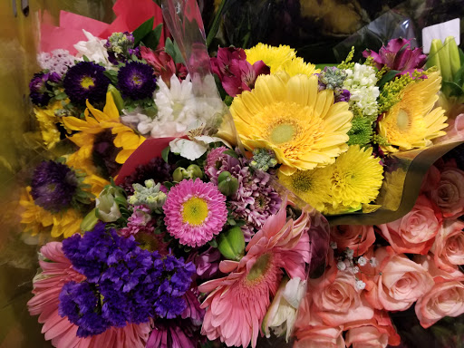 Grocery Store «Food Lion», reviews and photos, 5227 Waterway Dr, Dumfries, VA 22025, USA