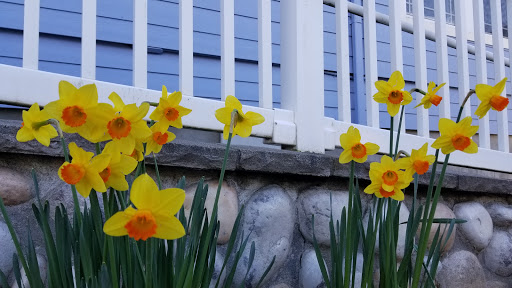 Resort «Embarcadero Resort Hotel & Marina», reviews and photos, 1000 SE Bay Blvd, Newport, OR 97365, USA