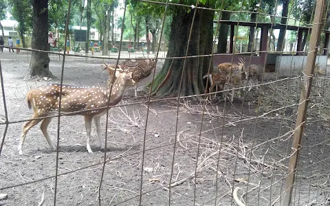 Saidpur Zoo image