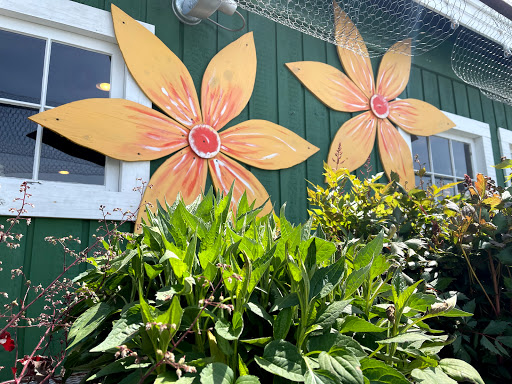 Florist «Petals & Paws», reviews and photos, 465 Albany Turnpike, Canton, CT 06019, USA