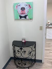 Premier Animal Wellness and Surgery - Photo 5 - Car repair in Broken Arrow, OK, Broken Arrow