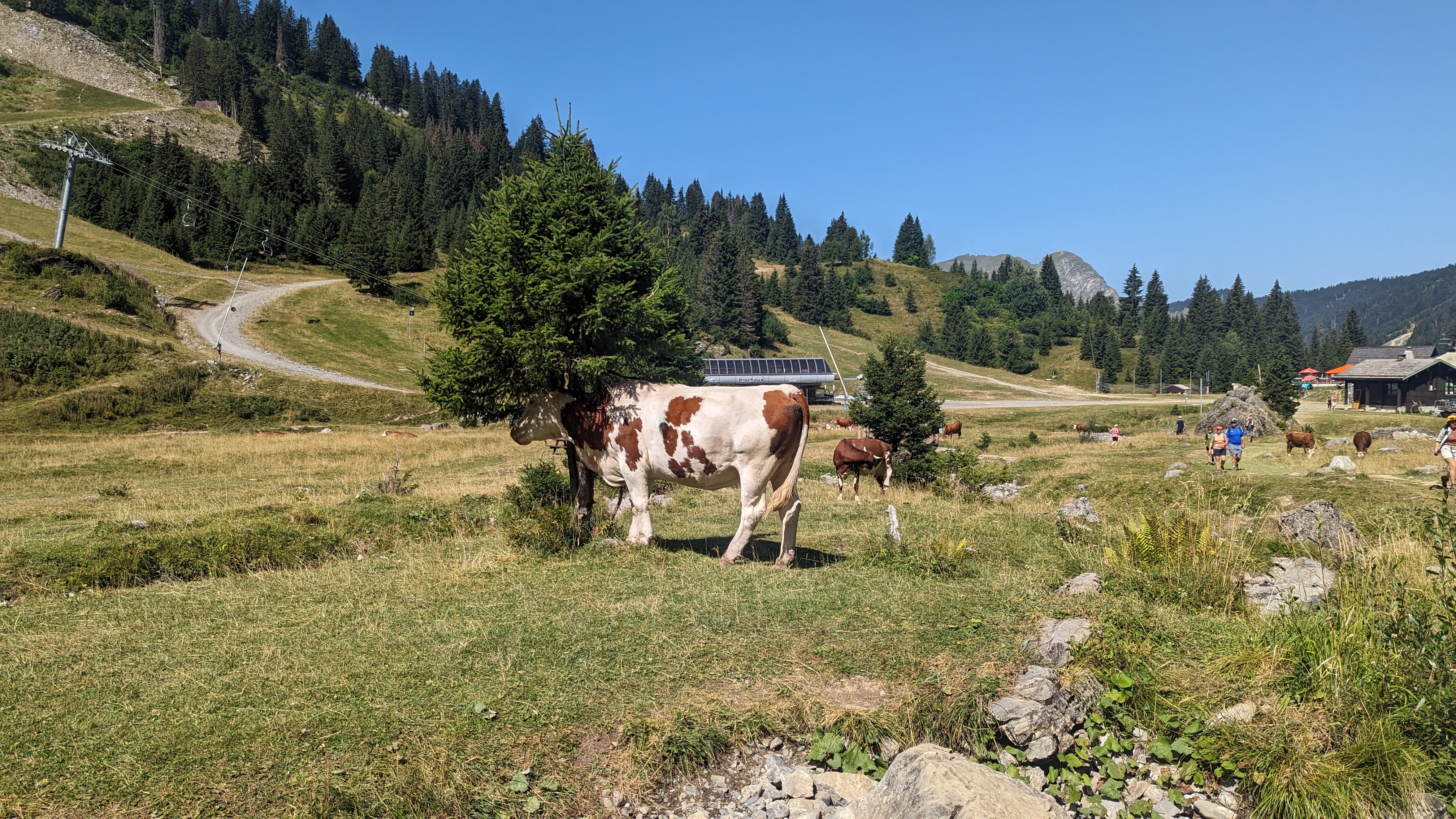 Photo n° 5 de l'avis de Ludmilla.e fait le 24/08/2023 à 12:51