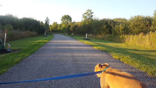 Golf Course «Niagara County Golf Course», reviews and photos, 314 Davison Rd, Lockport, NY 14094, USA