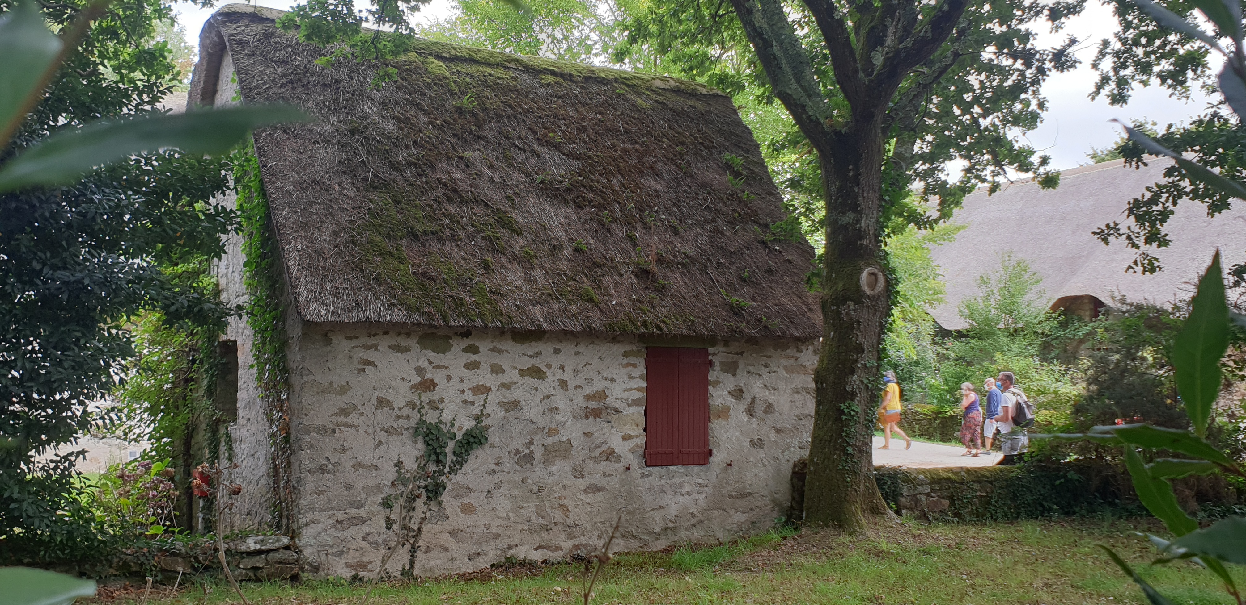 Photo n° 5 de l'avis de m.h fait le 28/08/2020 à 15:07