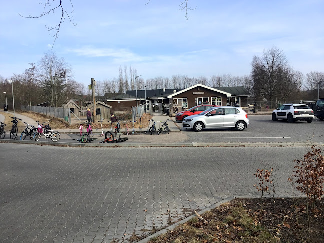Anmeldelser af Naturbørnehaven Græshoppen i Skanderborg - Børnehave