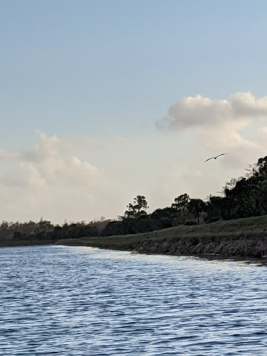 Nature Preserve «Loxahatchee Slough Natural Area», reviews and photos, 9060 W Indiantown Rd, Jupiter, FL 33478, USA