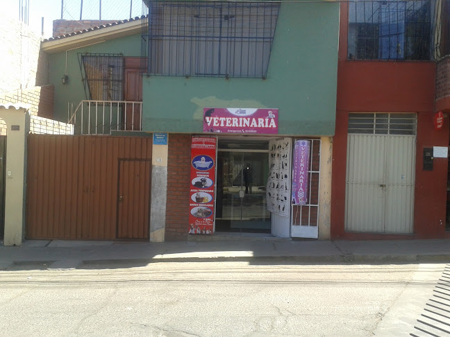 Veterinaria y Spa Canino Luna Arequipa - Veterinario