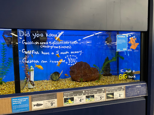 Pet Supply Store «Petco Animal Supplies», reviews and photos, 520 Woodside Rd, Redwood City, CA 94061, USA