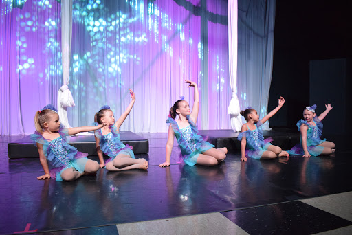 Dance School «Dance and Circus Arts of Tampa Bay», reviews and photos, 1490 N Belcher Rd, Clearwater, FL 33765, USA