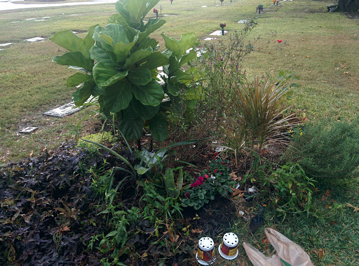 Cemetery «Woodlawn Funeral Home & Cemetery», reviews and photos, 1101 Antoine Dr, Houston, TX 77055, USA