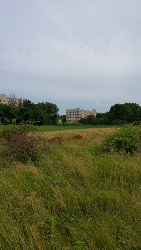 Golf Course «Overpeck Golf Course», reviews and photos, 273 E Cedar Ln, Teaneck, NJ 07666, USA