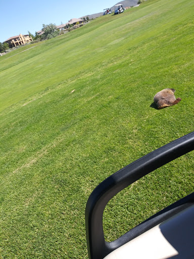 Golf Club «Wolf Run Golf Club», reviews and photos, 1400 Wolf Run Rd, Reno, NV 89511, USA