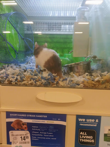 Pet Supply Store «PetSmart», reviews and photos, 1116 S Rochester Rd, Rochester Hills, MI 48307, USA