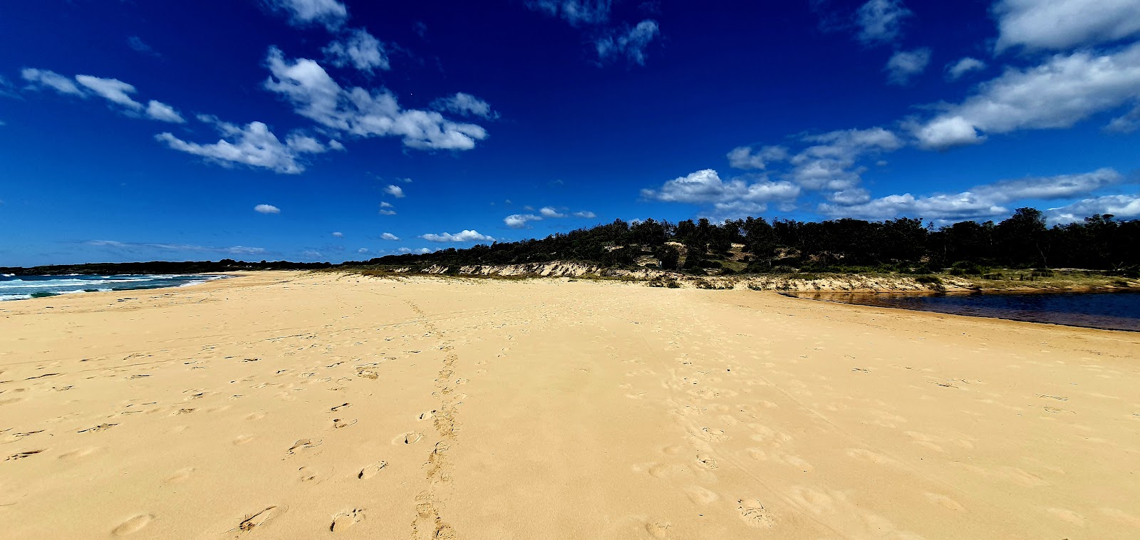 Meringo Beach'in fotoğrafı vahşi alan
