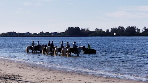 Horseback Riding Service «BeachHorses.com», reviews and photos, 8400 Manatee Ave W, Bradenton, FL 34209, USA