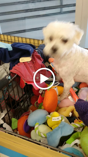 Pet Supply Store «Petco Animal Supplies», reviews and photos, 1121 5th St, Miami Beach, FL 33139, USA