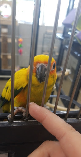 Pet Store «Carters Pet Mart», reviews and photos, 510 N Main St, Manteca, CA 95336, USA