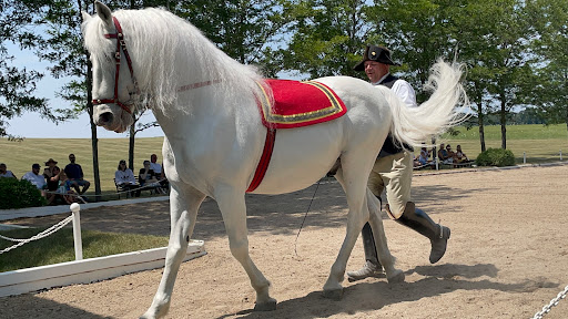 Tourist Attraction «The Tempel Lipizzans», reviews and photos, 17000 W Wadsworth Rd, Old Mill Creek, IL 60083, USA