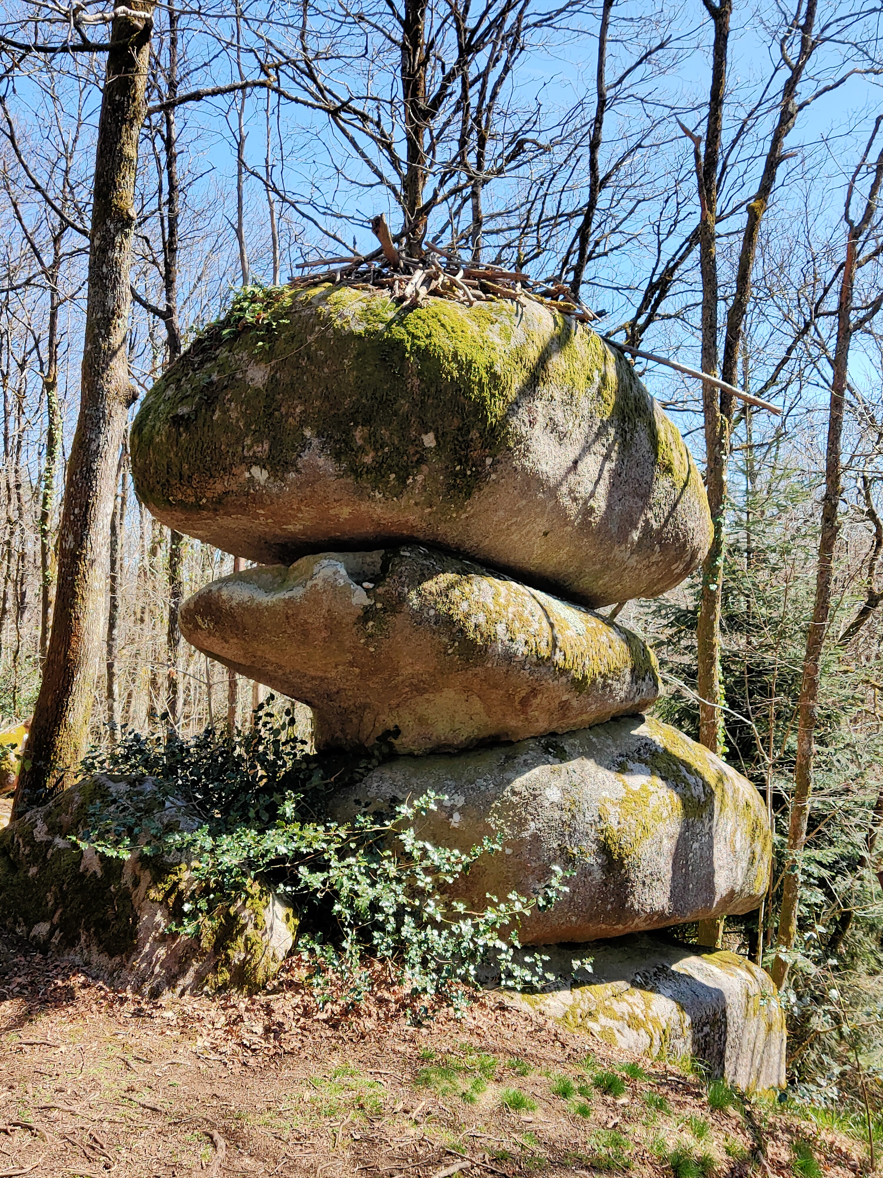 Photo n° 17 de l'avis de Yves.o fait le 29/03/2021 à 06:12