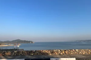 Pong Dam image