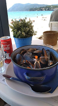 Moule du Restaurant El Pacha à La Seyne-sur-Mer - n°2