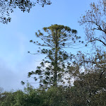 Photo n°3 de l'avis de Emil.h fait le 22/09/2019 à 08:36 sur le  Penha Longa Resort à Lisboa