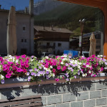 Photo n°1 de l'avis de Francesca.e fait le 09/07/2016 à 06:30 sur le  Cristall Bar Mountain Bistrot à Bormio