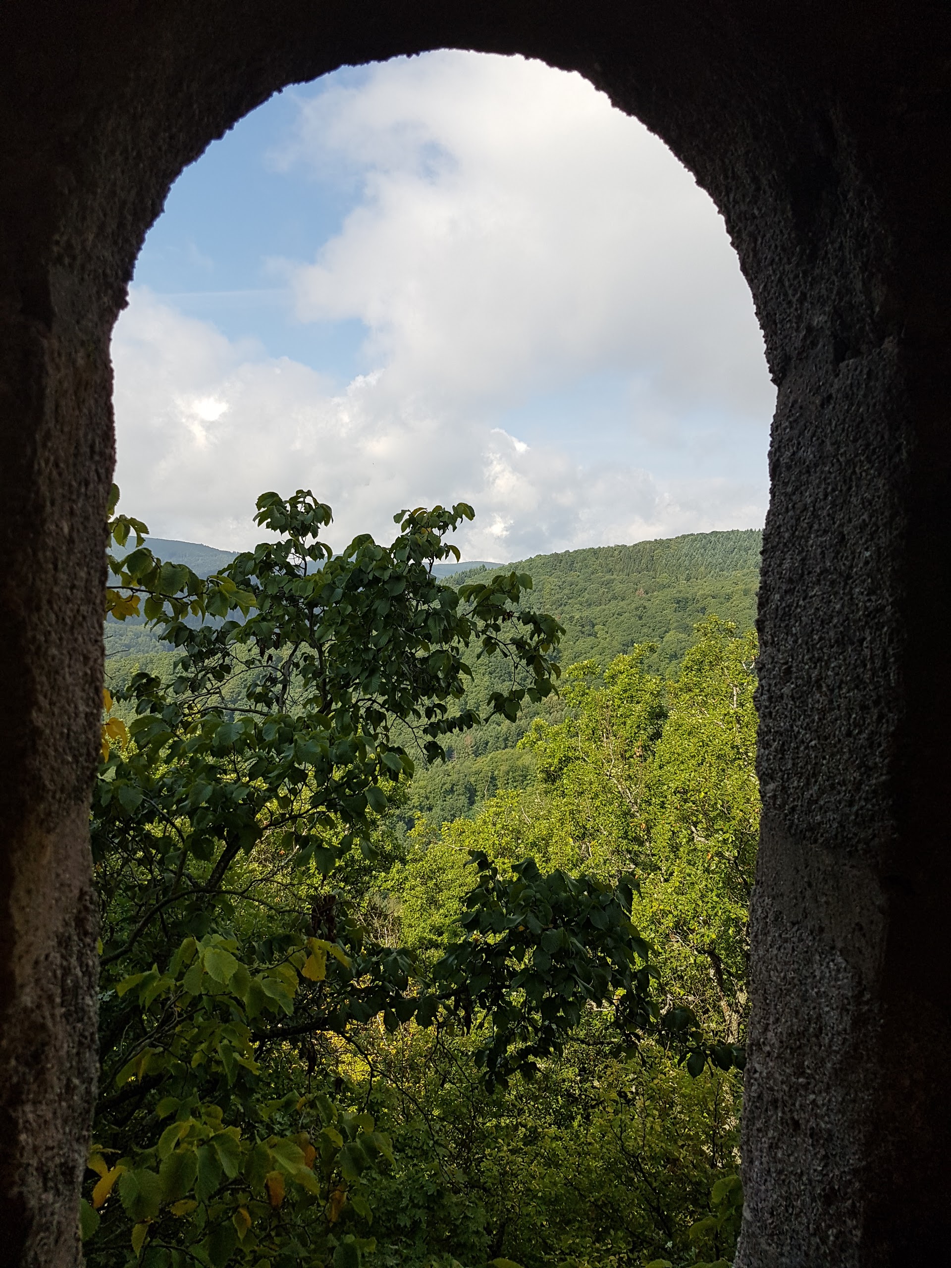 Photo n° 9 de l'avis de Thomas.c fait le 17/08/2017 à 11:17