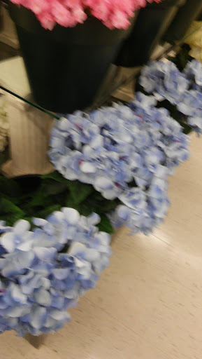 Craft Store «Hobby Lobby», reviews and photos, 2090 George Urban Blvd, Depew, NY 14043, USA