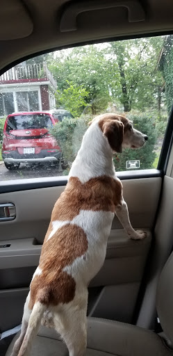 Pet Supply Store «PetSmart», reviews and photos, 36395 Euclid Ave, Willoughby, OH 44094, USA