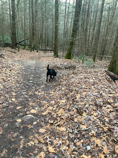 Insurance Agency «Jeff Summers - State Farm Insurance Agent», reviews and photos